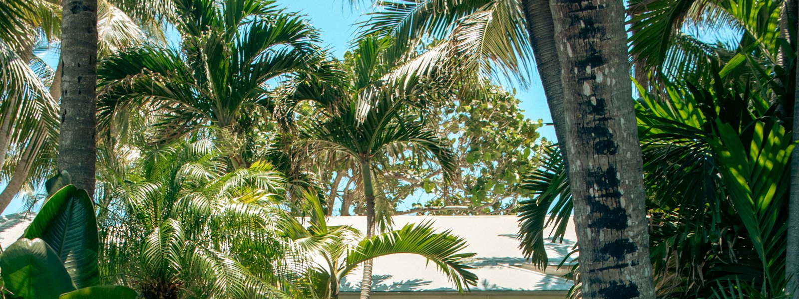 Maison antillaise en Guadeloupe, objet d’un avis de valeur
