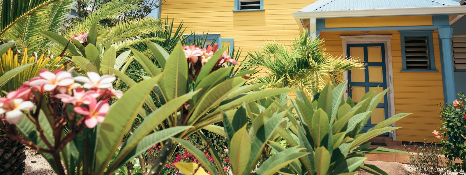 Maison créole aux volets bleus en Guadeloupe — biens à vendre