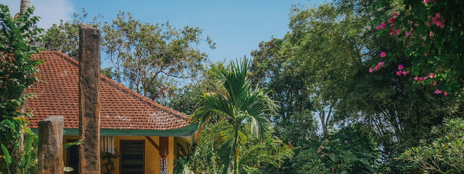 Vendre un bien en Guadeloupe : maison entourée de verdure